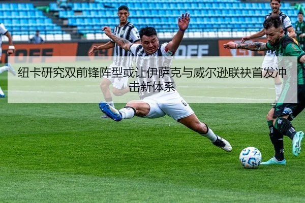 纽卡研究双前锋阵型或让伊萨克与威尔逊联袂首发冲击新体系